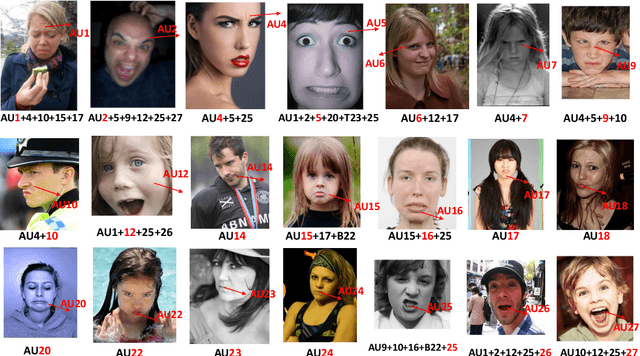 Figure 1 for RAF-AU Database: In-the-Wild Facial Expressions with Subjective Emotion Judgement and Objective AU Annotations