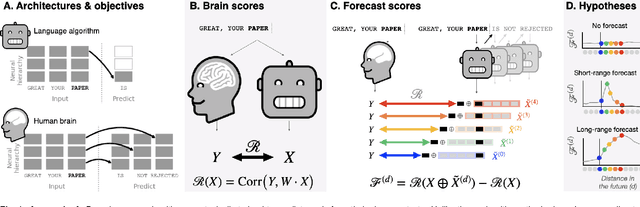 Figure 1 for Long-range and hierarchical language predictions in brains and algorithms