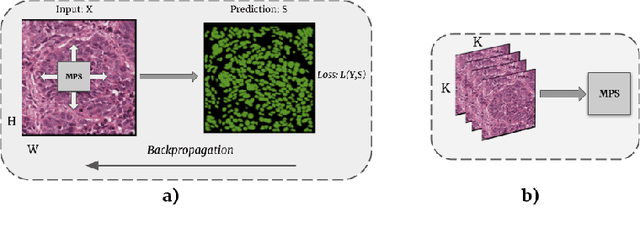 Figure 1 for Segmenting two-dimensional structures with strided tensor networks