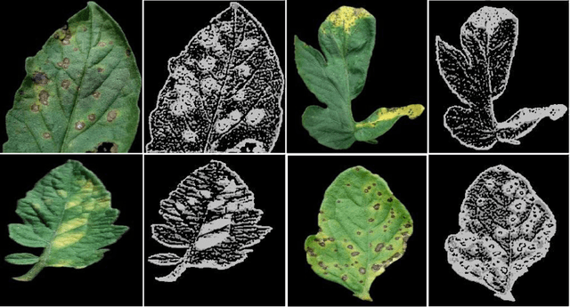 Figure 4 for Deep interpretable architecture for plant diseases classification