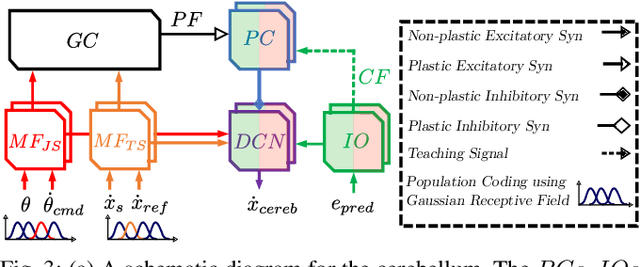 Figure 3 for Vision-Based Control for Robots by a Fully Spiking Neural System Relying on Cerebellar Predictive Learning