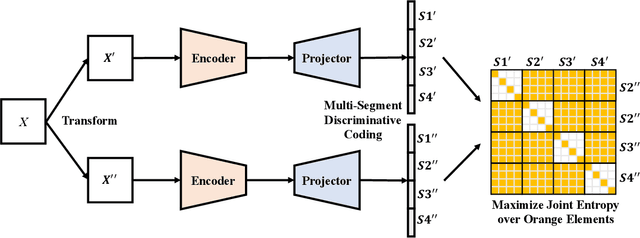 Figure 3 for Self-Supervised Representation Learning With MUlti-Segmental Informational Coding (MUSIC)