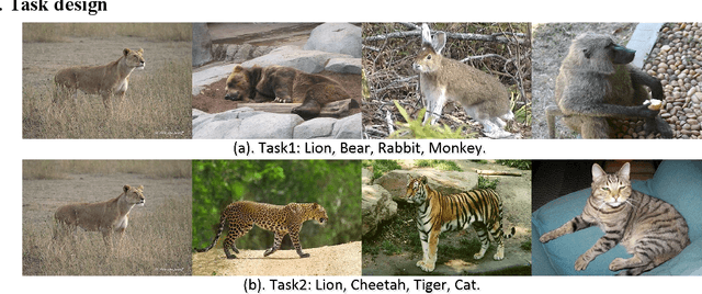Figure 3 for Rethinking the Image Feature Biases Exhibited by Deep CNN Models