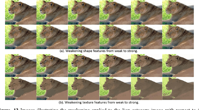 Figure 4 for Rethinking the Image Feature Biases Exhibited by Deep CNN Models