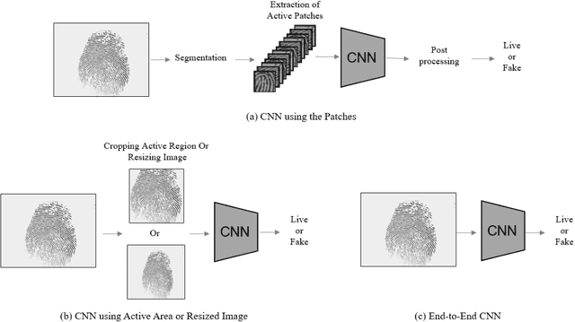 Figure 1 for End-to-End Fingerprints Liveness Detection using Convolutional Networks with Gram module