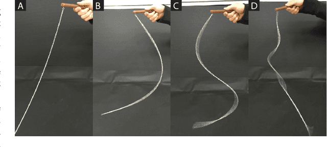 Figure 1 for Robotic manipulation of a rotating chain