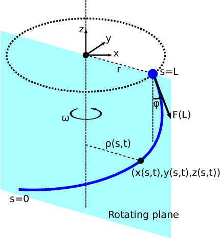 Figure 2 for Robotic manipulation of a rotating chain