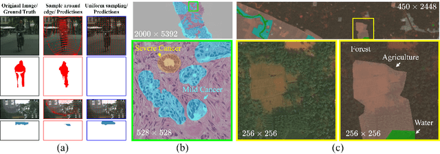 Figure 2 for Learning to Downsample for Segmentation of Ultra-High Resolution Images