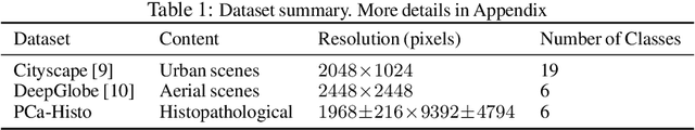 Figure 1 for Learning to Downsample for Segmentation of Ultra-High Resolution Images