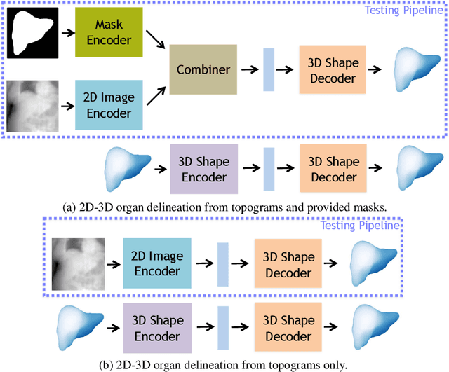 Figure 1 for 3D Organ Shape Reconstruction from Topogram Images