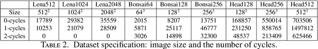 Figure 4 for Cubical Ripser: Software for computing persistent homology of image and volume data