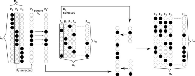 Figure 3 for When and where do feed-forward neural networks learn localist representations?