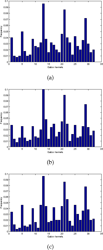 Figure 3 for Feature Selection via Sparse Approximation for Face Recognition