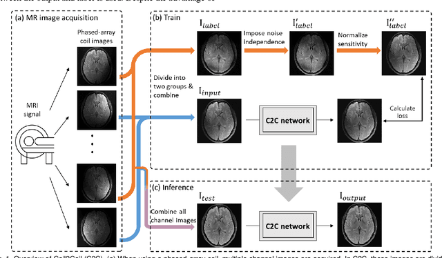 Figure 1 for Coil2Coil: Self-supervised MR image denoising using phased-array coil images