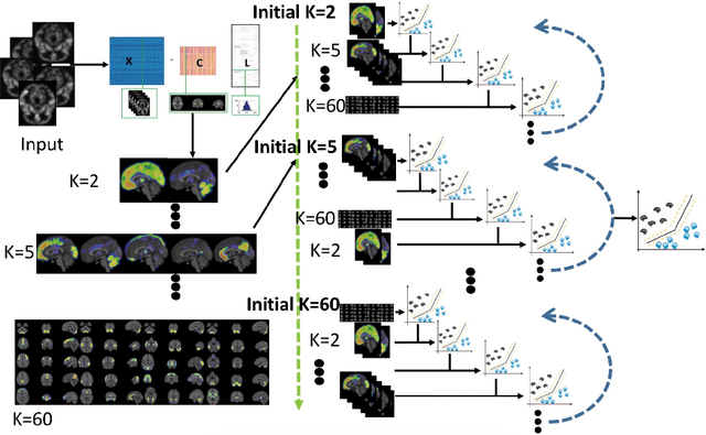 Figure 1 for MAGIC: Multi-scale Heterogeneity Analysis and Clustering for Brain Diseases
