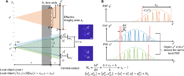 Figure 3 for GEOMScope: Large Field-of-view 3D Lensless Microscopy with Low Computational Complexity