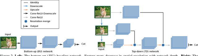 Figure 3 for Top-Down Networks: A coarse-to-fine reimagination of CNNs