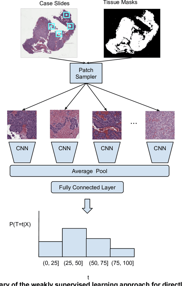 Figure 2 for Deep learning-based survival prediction for multiple cancer types using histopathology images