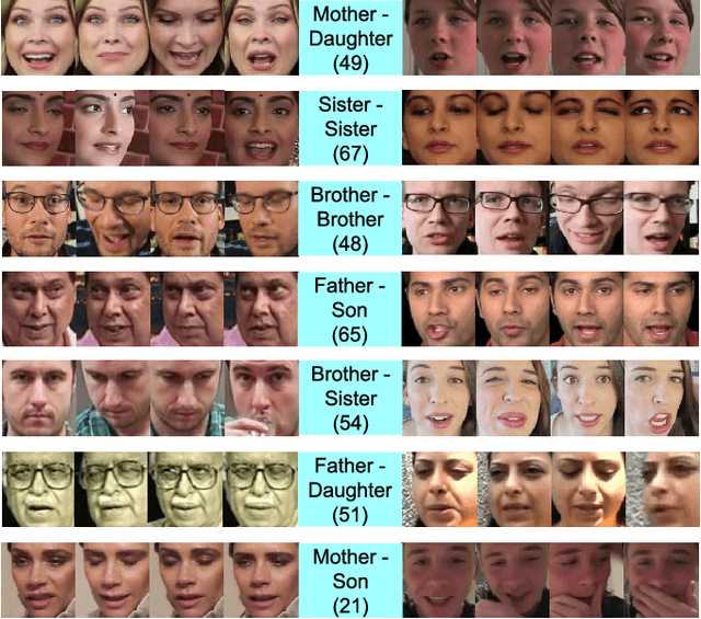 Figure 4 for Supervised Mixed Norm Autoencoder for Kinship Verification in Unconstrained Videos