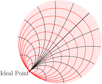 Figure 3 for HoroPCA: Hyperbolic Dimensionality Reduction via Horospherical Projections