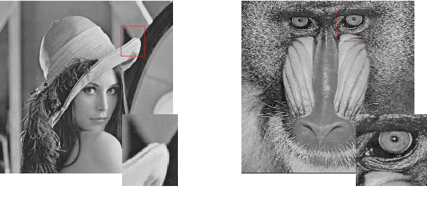 Figure 2 for Online Learning Sensing Matrix and Sparsifying Dictionary Simultaneously for Compressive Sensing