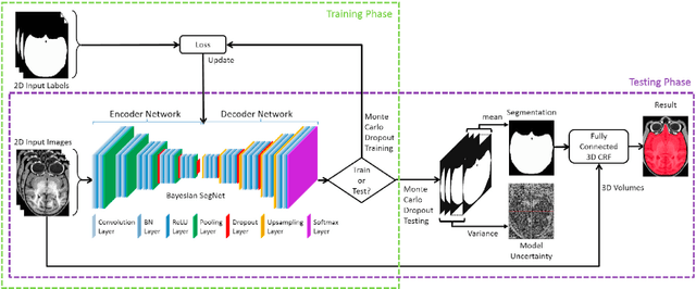 Figure 1 for Bayesian convolutional neural network based MRI brain extraction on nonhuman primates