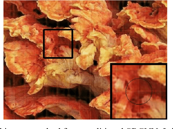Figure 1 for Improved Super-Resolution Convolution Neural Network for Large Images