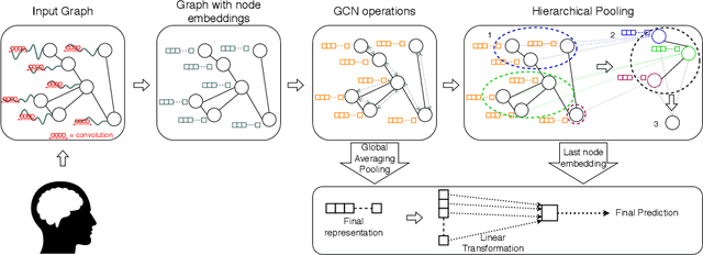 Figure 1 for Towards a predictive spatio-temporal representation of brain data