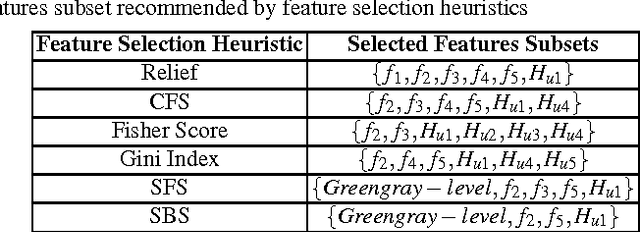Figure 1 for Ant Colony based Feature Selection Heuristics for Retinal Vessel Segmentation