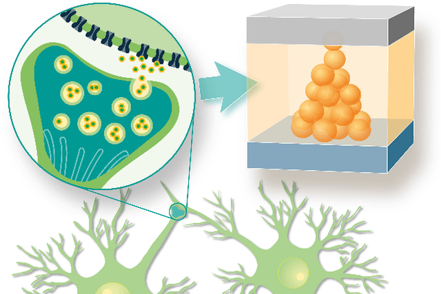 Figure 1 for A High Throughput Generative Vector Autoregression Model for Stochastic Synapses