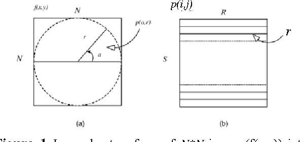 Figure 1 for Alignment of Microtubule Imagery
