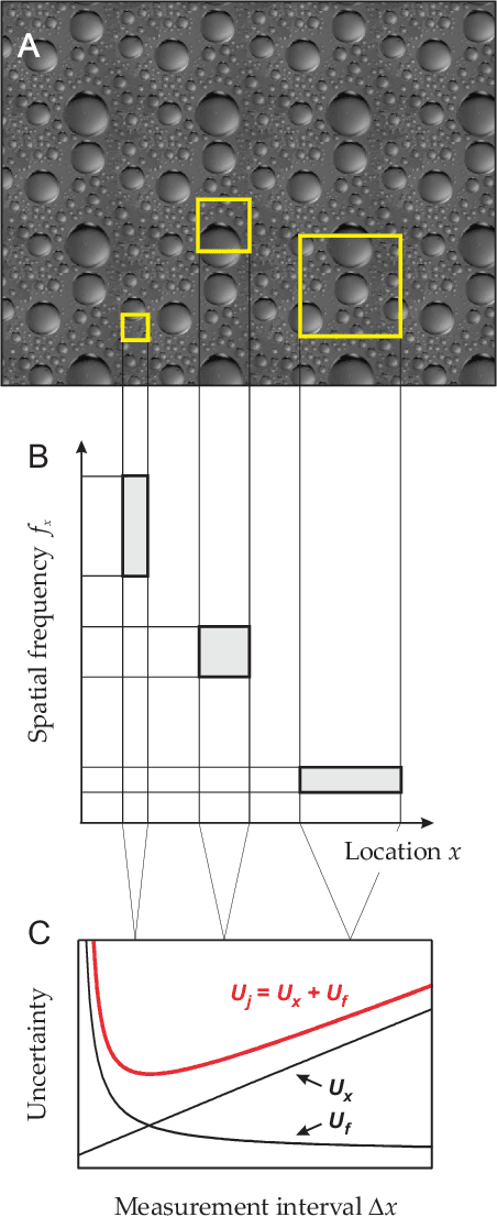 Figure 1 for Optimal measurement of visual motion across spatial and temporal scales