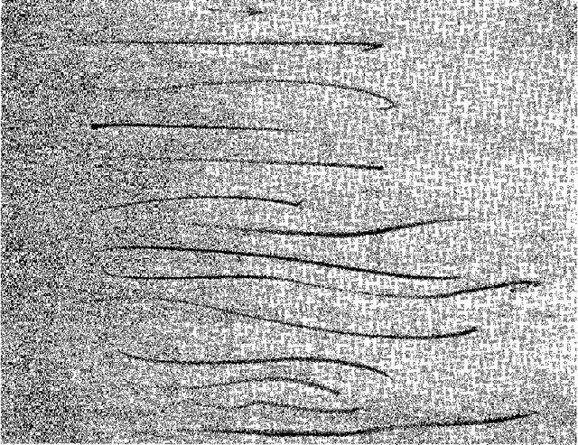 Figure 1 for Picasso, Matisse, or a Fake? Automated Analysis of Drawings at the Stroke Level for Attribution and Authentication