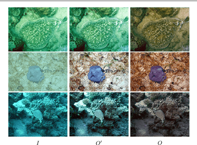 Figure 3 for Underwater image enhancement with Image Colorfulness Measure