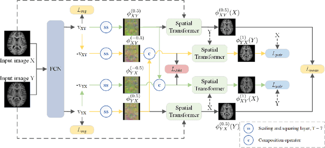 Figure 1 for Fast Symmetric Diffeomorphic Image Registration with Convolutional Neural Networks