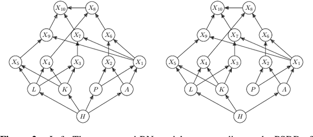 Figure 2 for Interventions and Counterfactuals in Tractable Probabilistic Models: Limitations of Contemporary Transformations