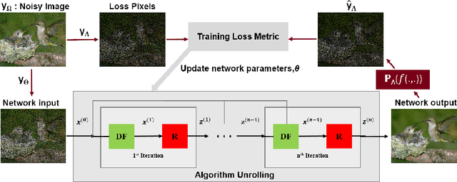 Figure 2 for Noise2Inpaint: Learning Referenceless Denoising by Inpainting Unrolling