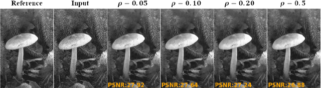 Figure 3 for Noise2Inpaint: Learning Referenceless Denoising by Inpainting Unrolling