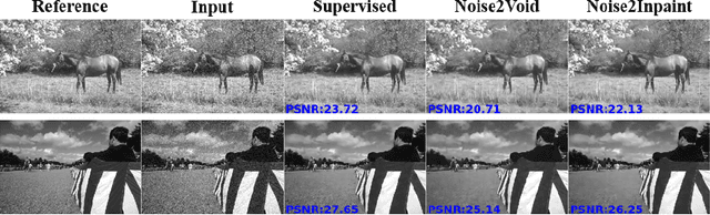 Figure 4 for Noise2Inpaint: Learning Referenceless Denoising by Inpainting Unrolling