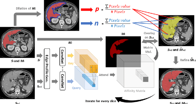 Figure 2 for Sli2Vol: Annotate a 3D Volume from a Single Slice with Self-Supervised Learning