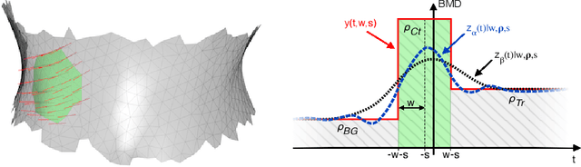 Figure 3 for An Analysis by Synthesis Method that Allows Accurate Spatial Modeling of Thickness of Cortical Bone from Clinical QCT