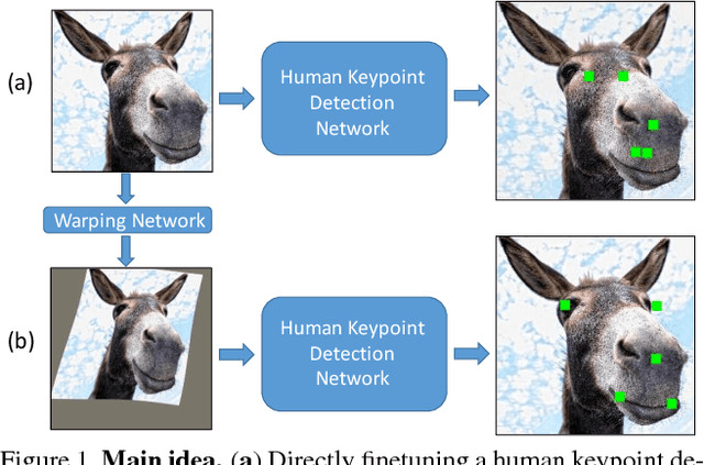Figure 1 for Interspecies Knowledge Transfer for Facial Keypoint Detection