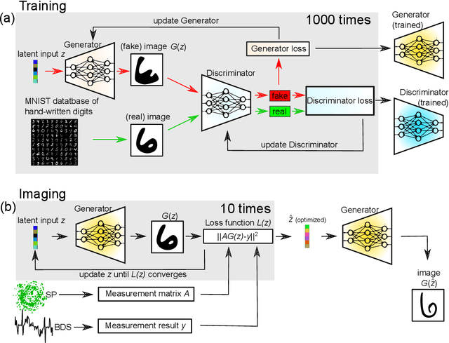 Figure 2 for Generative adversarial network for super-resolution imaging through a fiber