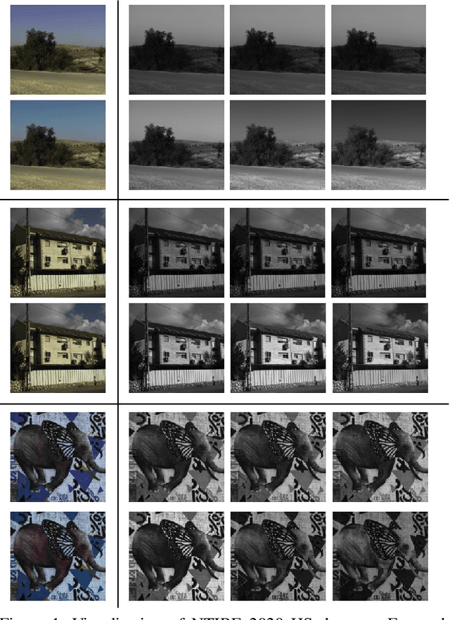 Figure 1 for Hierarchical Regression Network for Spectral Reconstruction from RGB Images