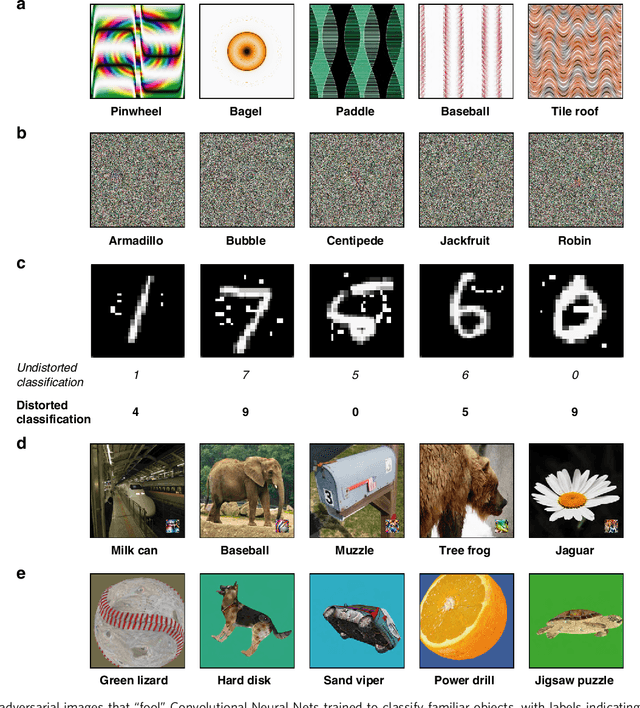 Figure 1 for Taking a machine's perspective: Human deciphering of adversarial images