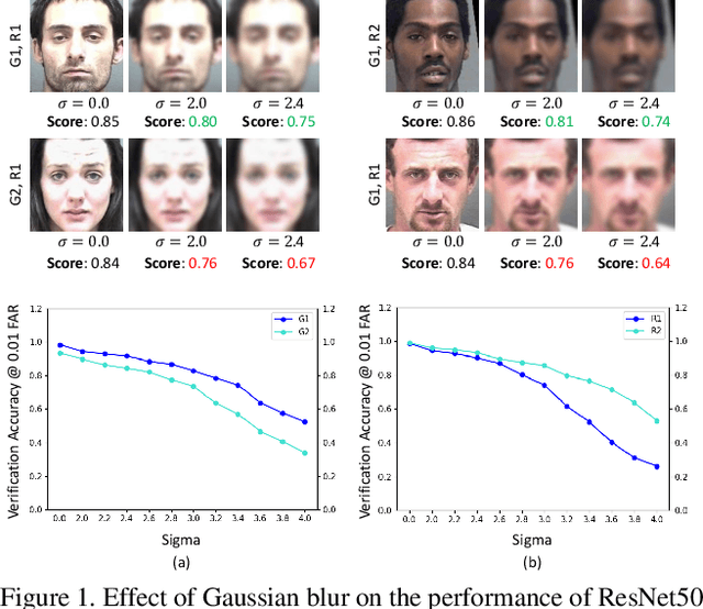 Figure 1 for Unravelling the Effect of Image Distortions for Biased Prediction of Pre-trained Face Recognition Models