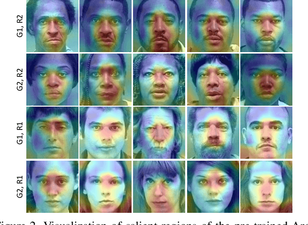Figure 4 for Unravelling the Effect of Image Distortions for Biased Prediction of Pre-trained Face Recognition Models