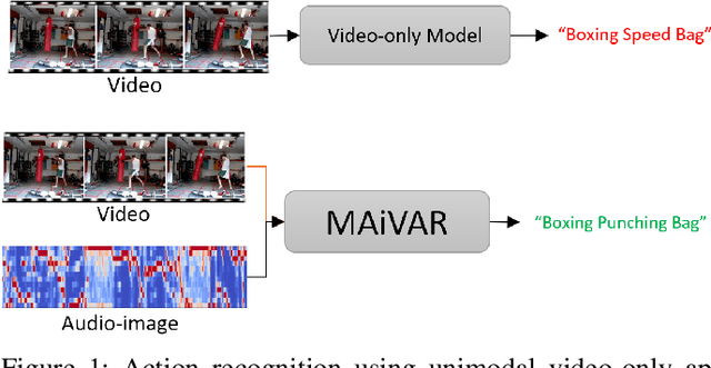 Figure 1 for MAiVAR: Multimodal Audio-Image and Video Action Recognizer