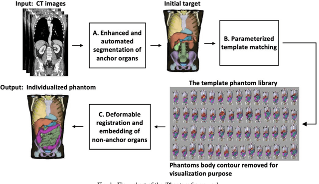 Figure 1 for iPhantom: a framework for automated creation of individualized computational phantoms and its application to CT organ dosimetry