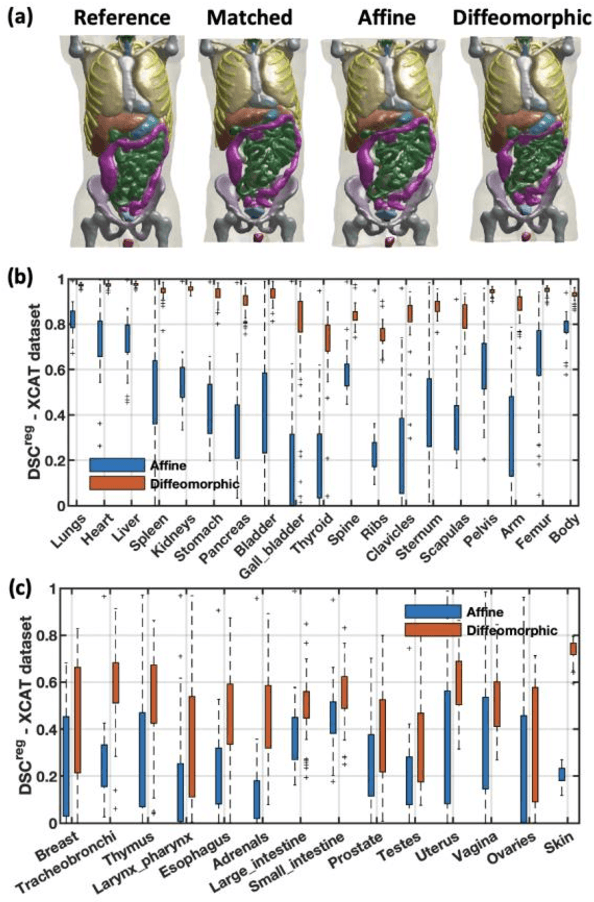 Figure 4 for iPhantom: a framework for automated creation of individualized computational phantoms and its application to CT organ dosimetry